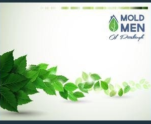 Photo of Mold Men of Pittsburgh
