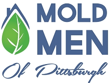 Photo of Mold Men of Pittsburgh
