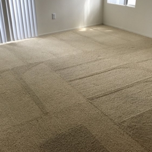 Photo of Mopsterz Cleaning Specialists