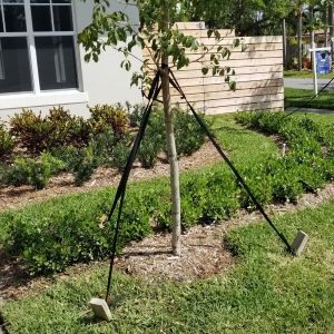 Photo of C S Designer Landscaping
