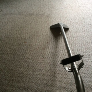 Photo of Perrigo's Carpet Upholstery & Drapery Cleaning
