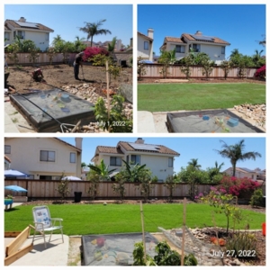 Photo of Tinh's Lawn Care and irrigation