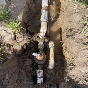 Photo of Tinh's Lawn Care and irrigation