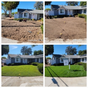 Photo of Tinh's Lawn Care and irrigation