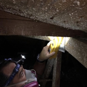 Photo of GR Property Home Inspectors