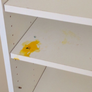 Photo of Cleaning Aid Services