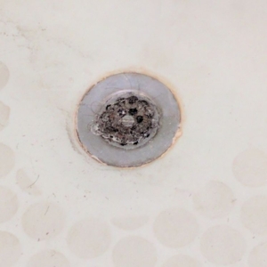 Photo of Cleaning Aid Services