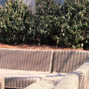 Photo of Atlanta Home Technologies