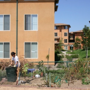 Photo of UCI Housing - Palo Verde