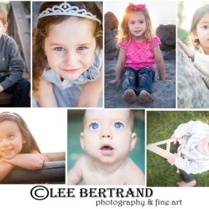 Photo of Lee Bertrand Photography and Fine Art