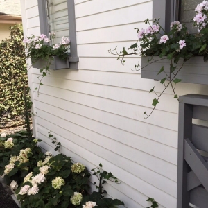 Photo of J&J Gardening