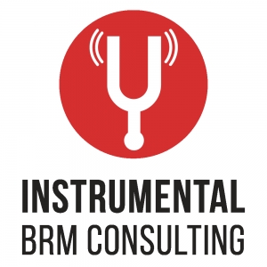 Photo of Instrumental BRM
