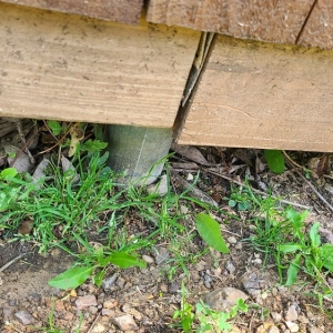 Photo of KNI Landscaping & Fences