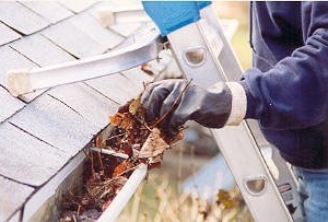 Photo of Healthy Homes Housekeeping