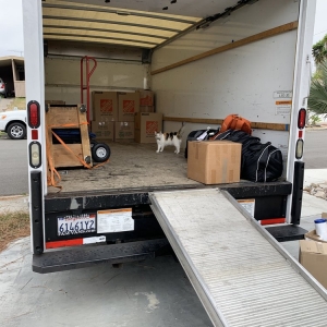Photo of Fenton Moving