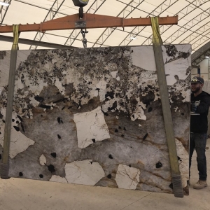 San Antonio Triton Stone