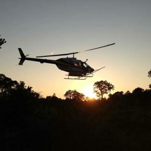 Photo of Aerial Forestry Services