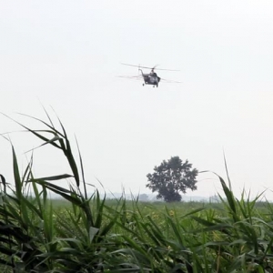 Photo of Aerial Forestry Services