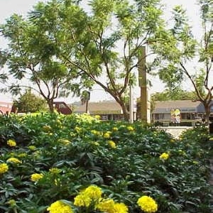 Photo of Westwind Landscape and Tree Service
