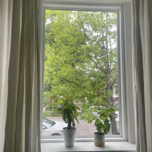 Photo of Chicago Area Glass