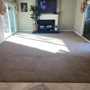 Photo of Diablo Carpet & Floor Restoration