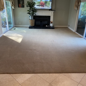 Photo of Diablo Carpet & Floor Restoration