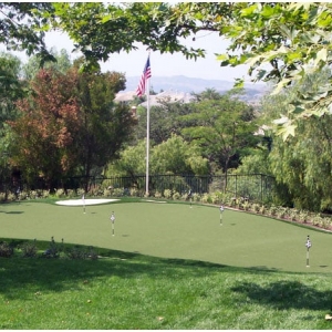 Photo of Backyard Golf