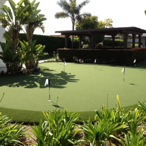Photo of Backyard Golf