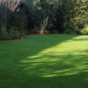 Photo of Backyard Golf
