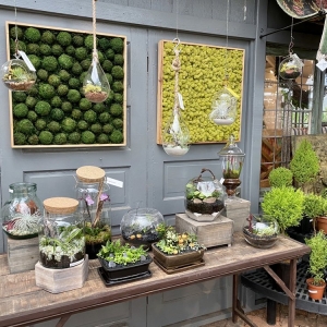 Photo of Cactus & Tropicals