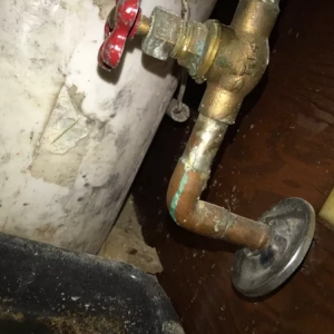 Photo of Master Plumber Rob