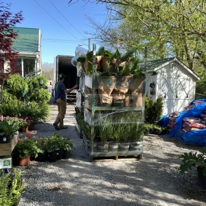 Photo of Moore & Moore Garden Center