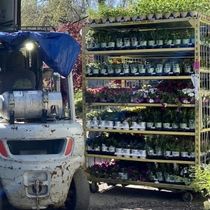 Photo of Moore & Moore Garden Center