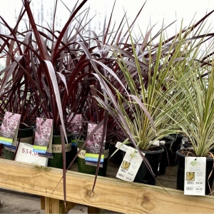 Photo of Moore & Moore Garden Center