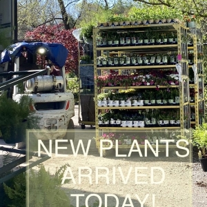 Photo of Moore & Moore Garden Center