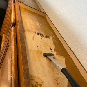 Photo of RosyÂ´s Cleaning Services