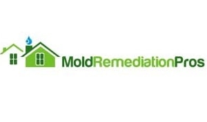 Atlanta Mold Remediation Pros