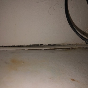 Photo of HomeGuard Incorporated