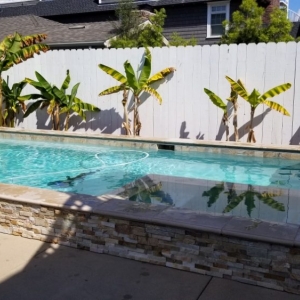 Photo of BJ's Pool & Spa Service