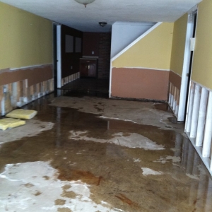 Photo of Forever Dry Basement Waterproofing