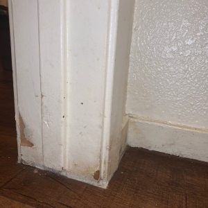 Photo of Rancho Ocaso Apartments
