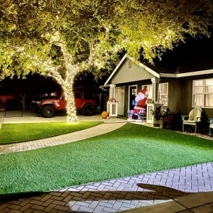 Photo of Field of Green