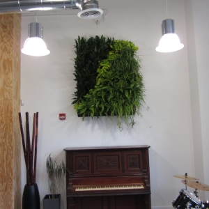 Photo of Foliage Design Systems