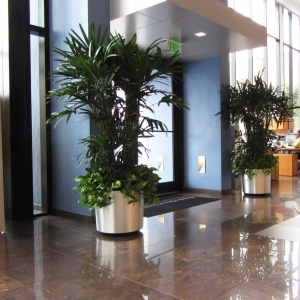 Photo of Foliage Design Systems
