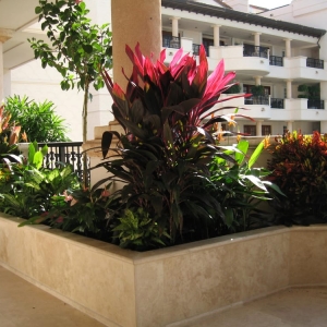 Photo of Foliage Design Systems