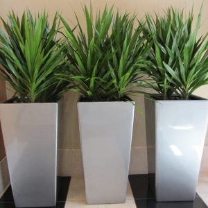 Photo of Foliage Design Systems