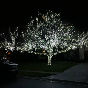 Photo of Lights Smart
