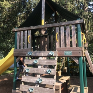 Photo of Sunshine Removal Service