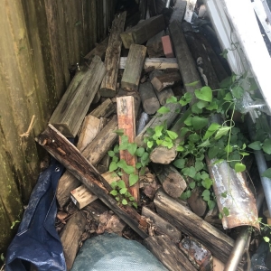 Photo of Sunshine Removal Service