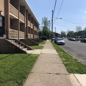 Photo of Sunshine Removal Service